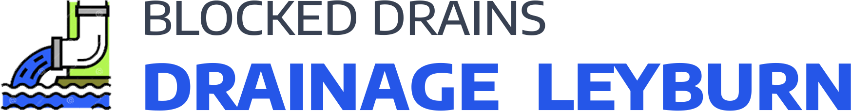 website logo